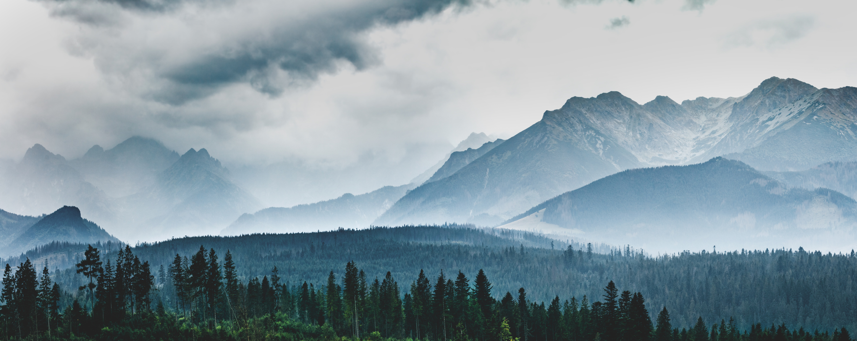 Mountain Peaks in Clouds and Fog